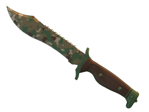 ★ Bowie Knife | Forest DDPAT (Well-Worn)
