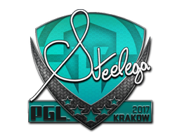 Sticker | steel | Krakow 2017