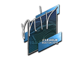 Sticker | mir | Boston 2018