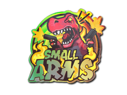 Sticker | Small Arms (Holo)
