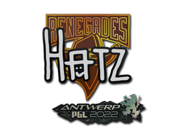 Sticker | hatz | Antwerp 2022