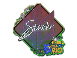 Sticker | Staehr (Glitter) | Rio 2022