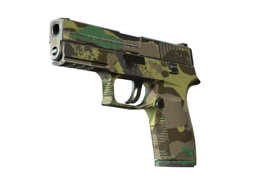 Souvenir P250 | Boreal Forest (Field-Tested)